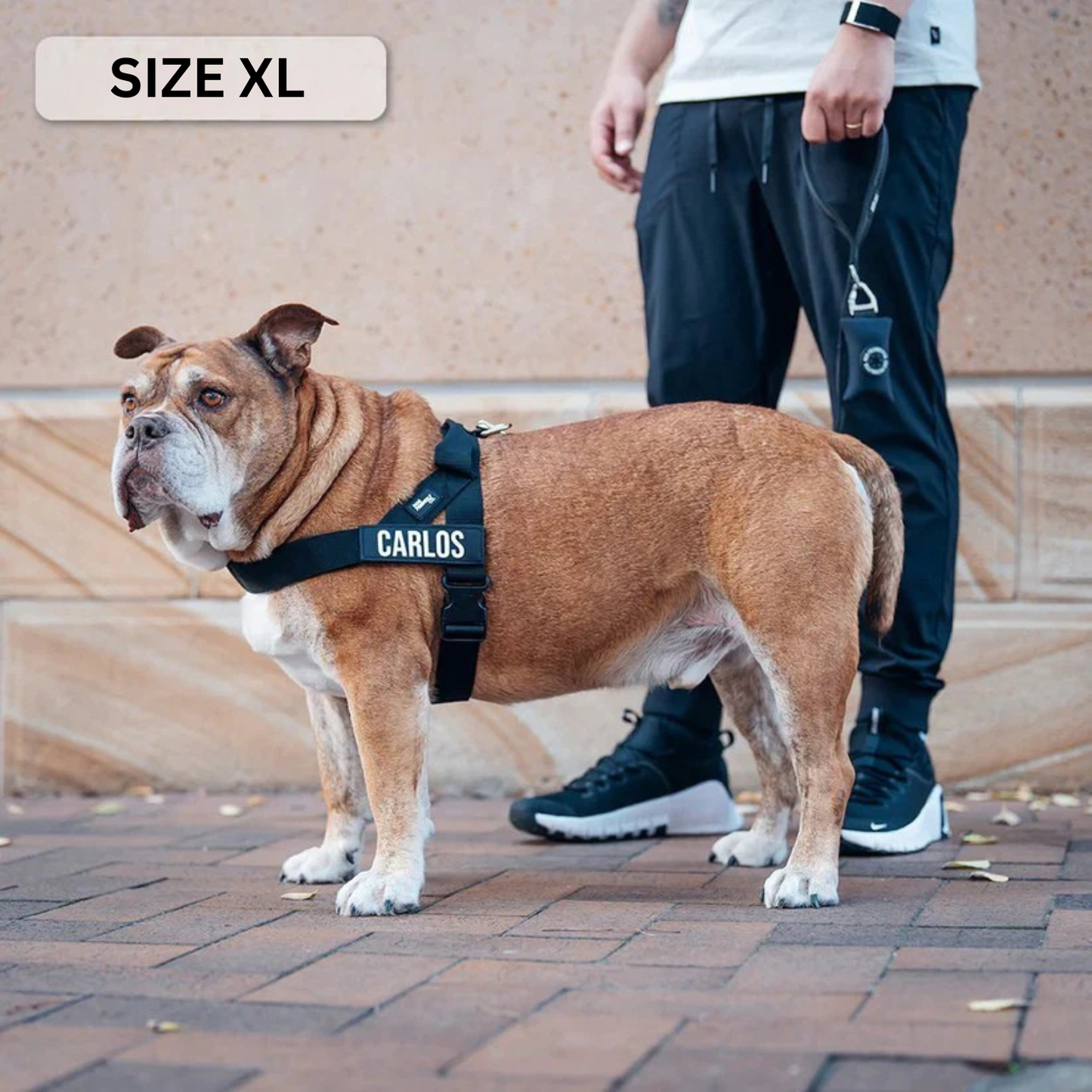 Essential Walking Kit