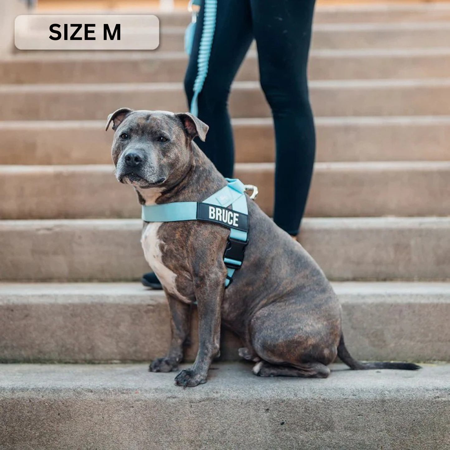 Essential Walking Kit