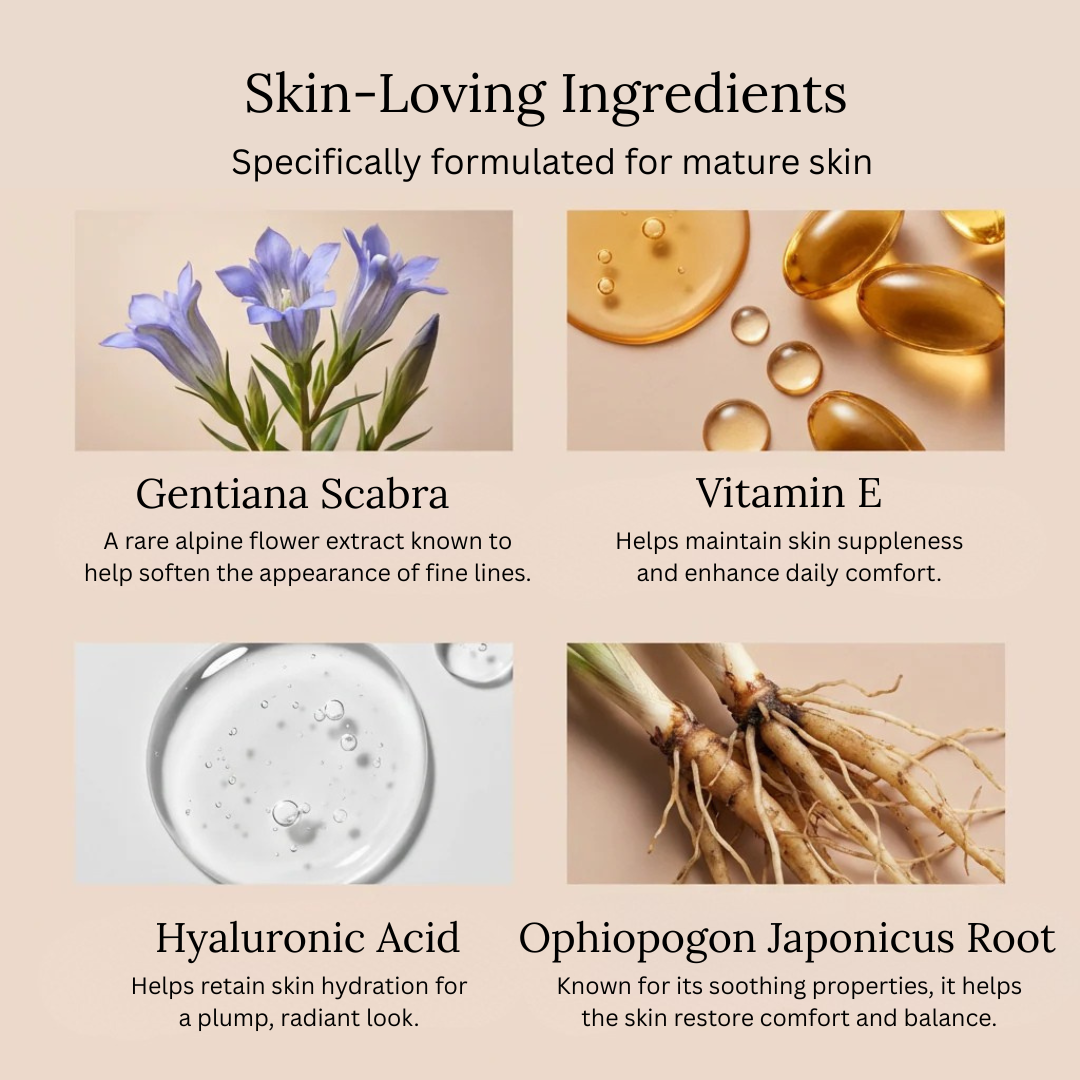 4-in-1 Foundation