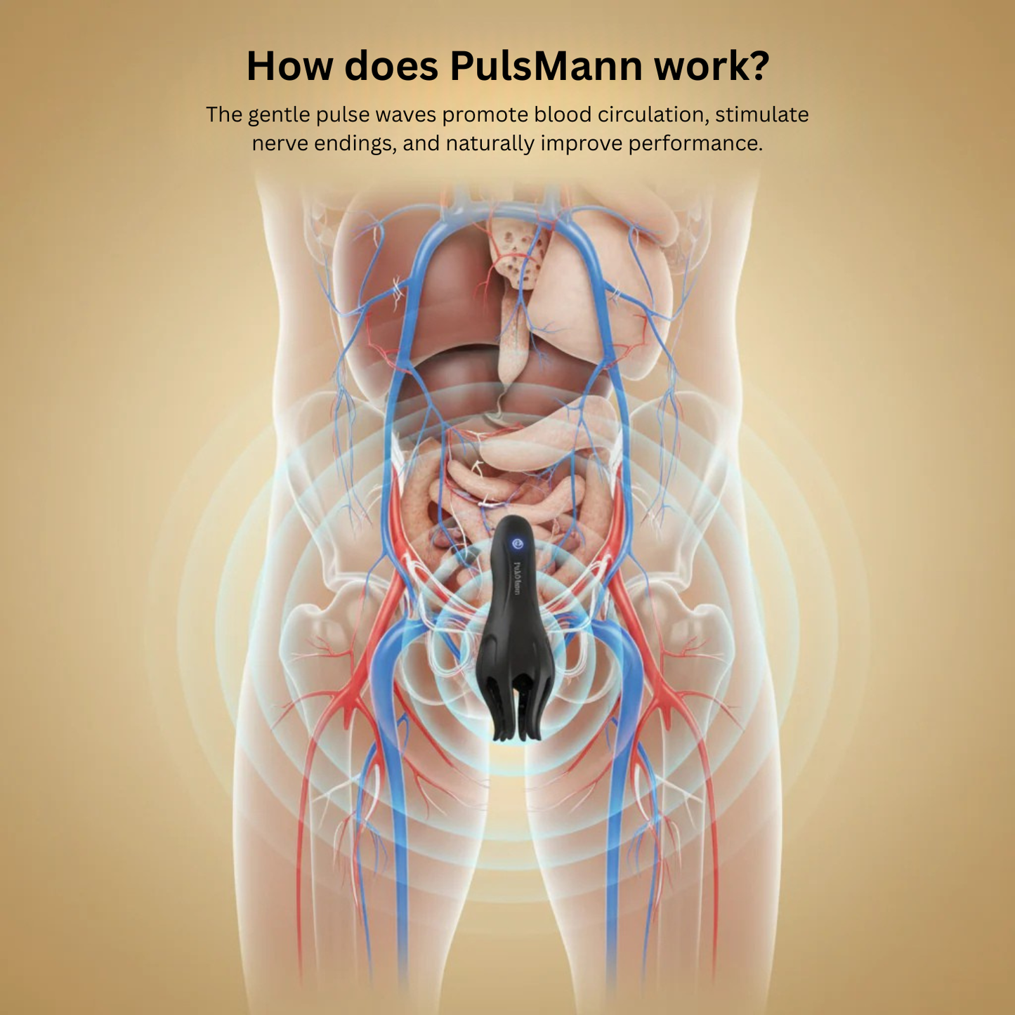 PulsMann PRO Therapy