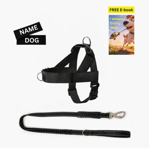 Essential Walking Kit